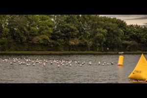 st helens tri (1 of 1)-5 sml